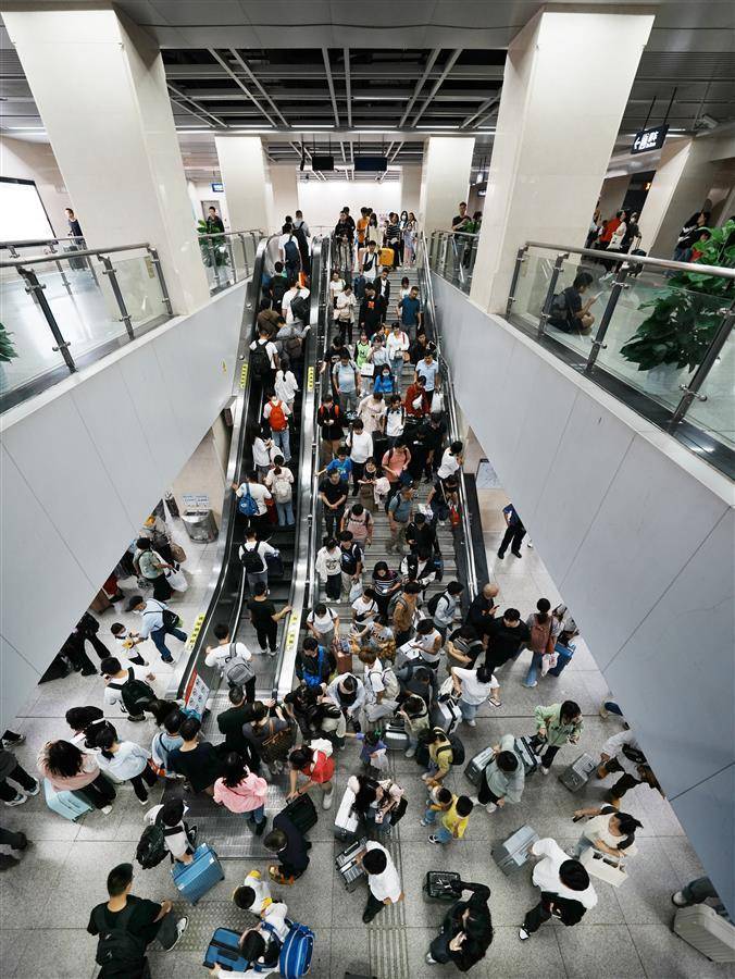 冠军论坛白菜大全